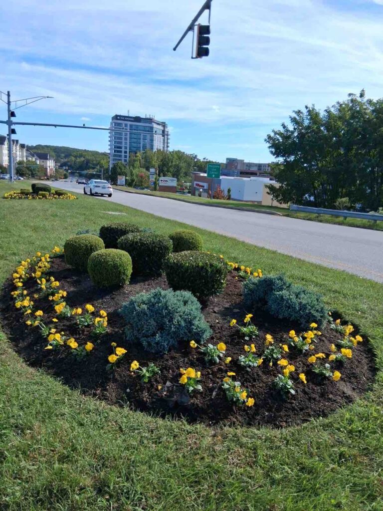 10.3.25 AMB Flowers 2