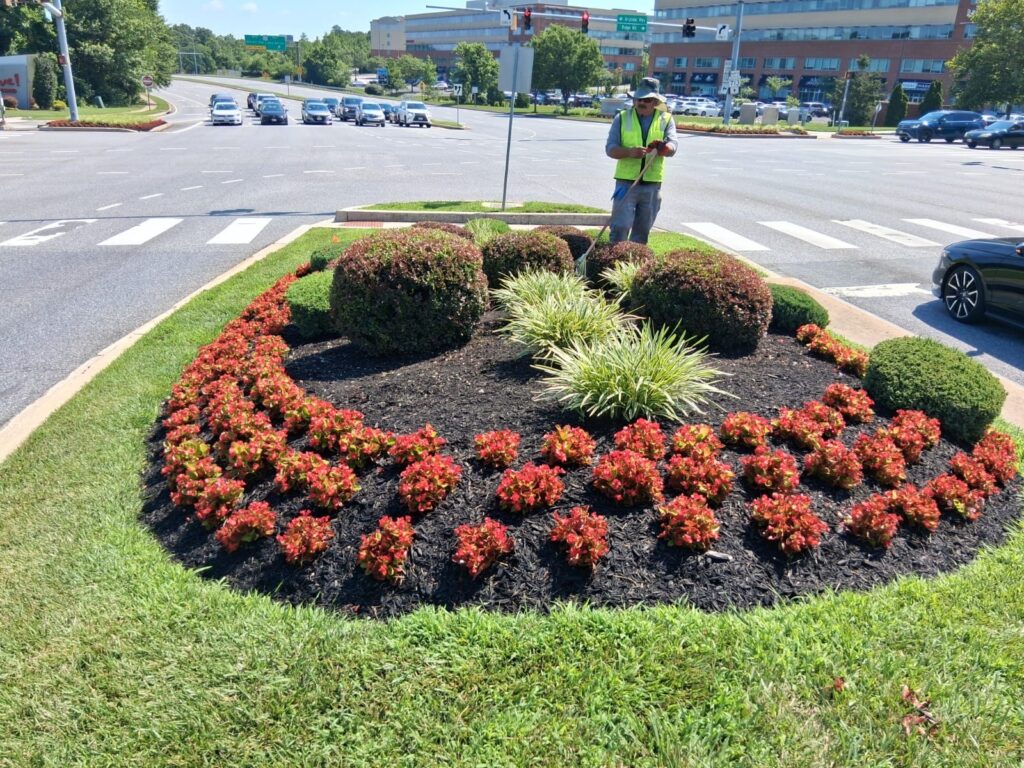 7.3.2025 AMB Flower Watering 1